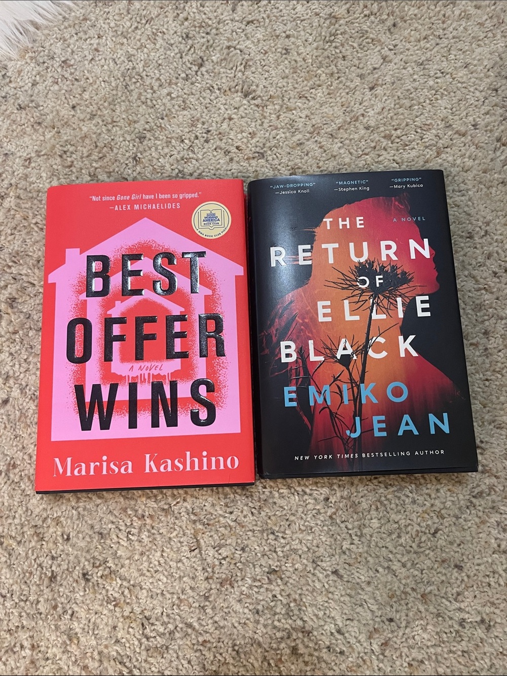 Thriller book bundle: best offer wins & The return of Ellie black